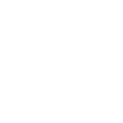 Essulokita